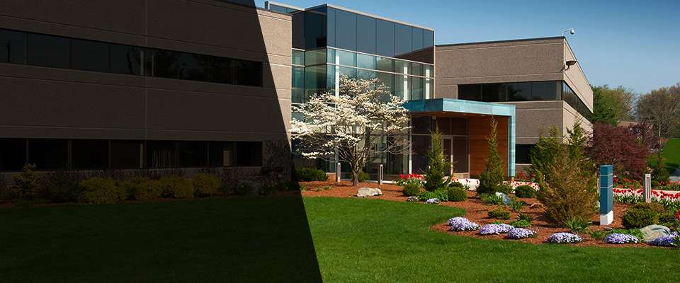 South Grafton Landscapers