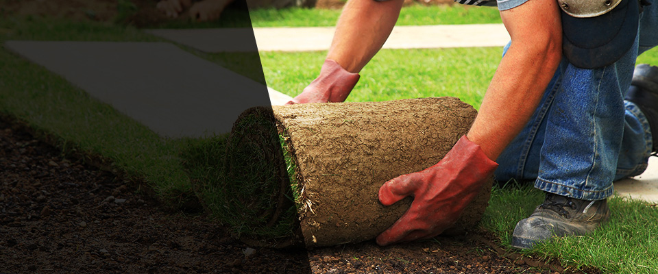 South Grafton Landscapers